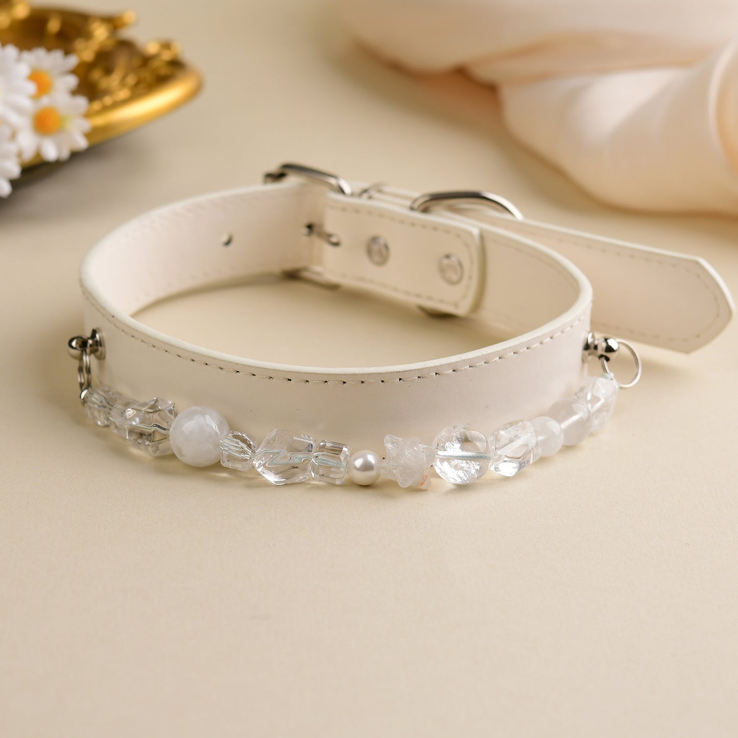 pet collar 1